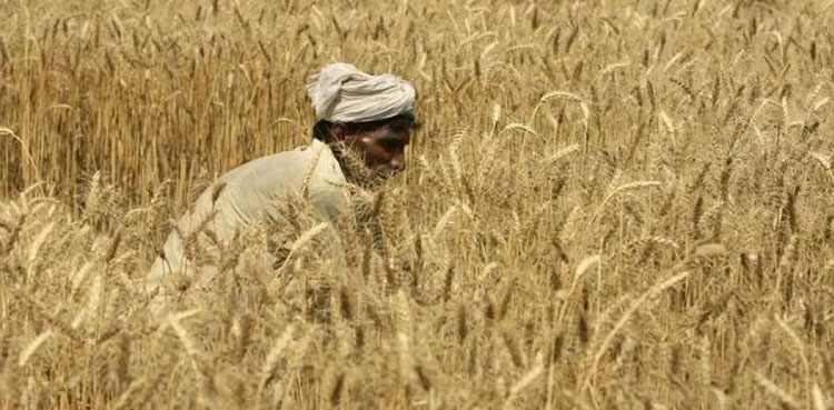 Punjab CM makes major announcement for farmers